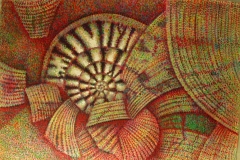 Shells