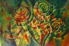 Shells